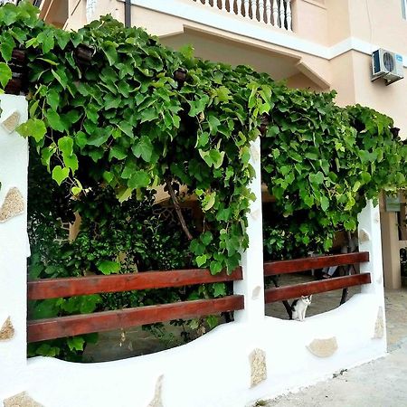 פודגוריצה Apartments Papillon מראה חיצוני תמונה